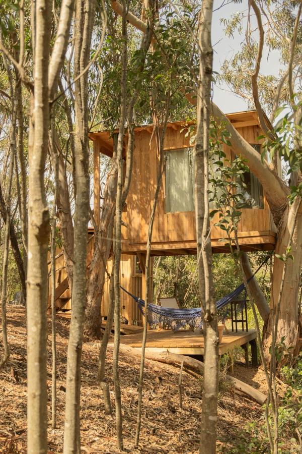 Soul Farm Algarve - Glamping & Farm Holiday home Aljezur