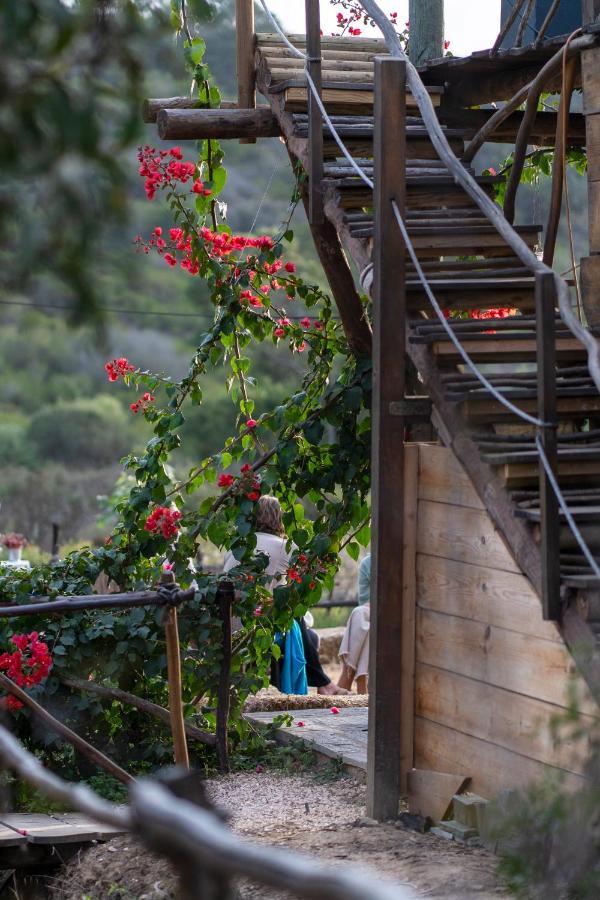 Soul Farm Algarve - Glamping & Farm Aljezur