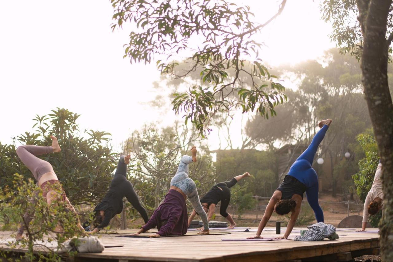 Soul Farm Algarve - Glamping & Farm Hébergement de vacances
