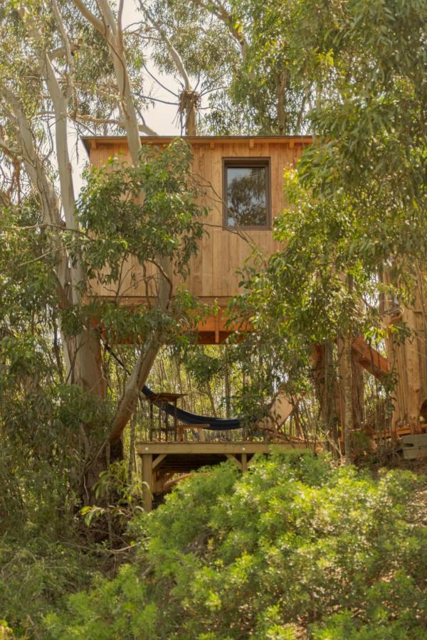 Holiday home Soul Farm Algarve - Glamping & Farm Aljezur