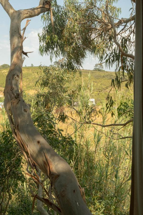 Soul Farm Algarve - Glamping & Farm * Aljezur