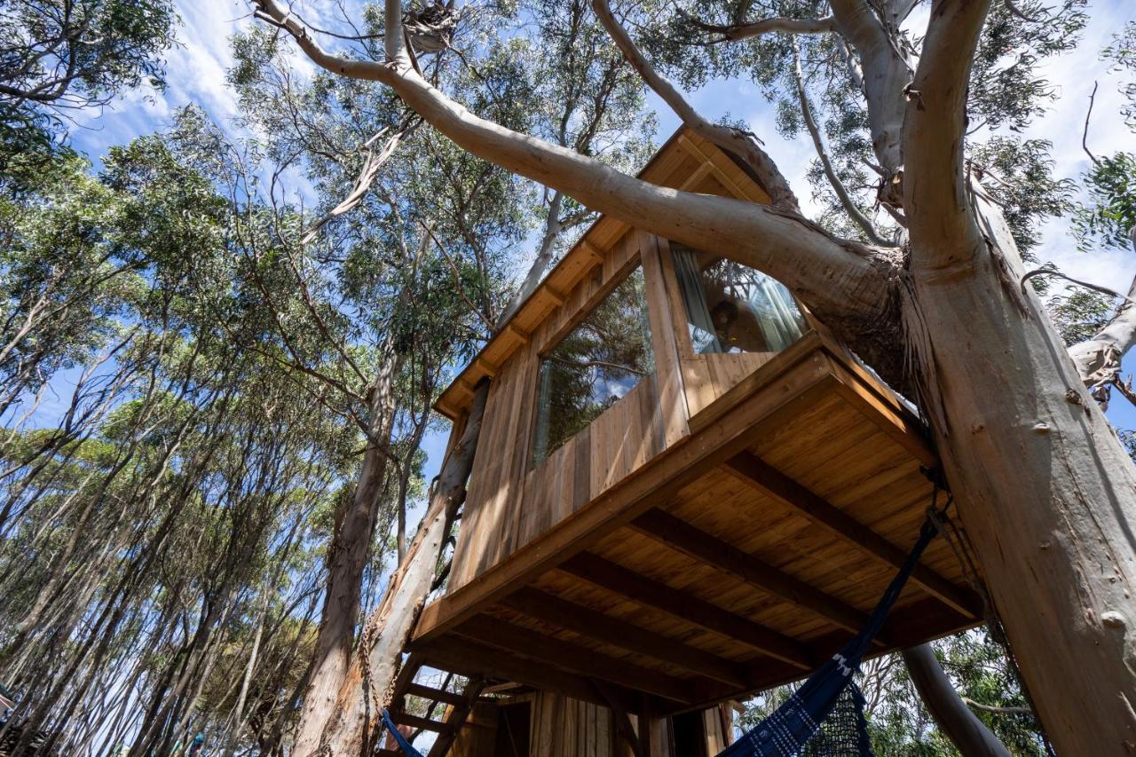 Soul Farm Algarve - Glamping & Farm Holiday home *