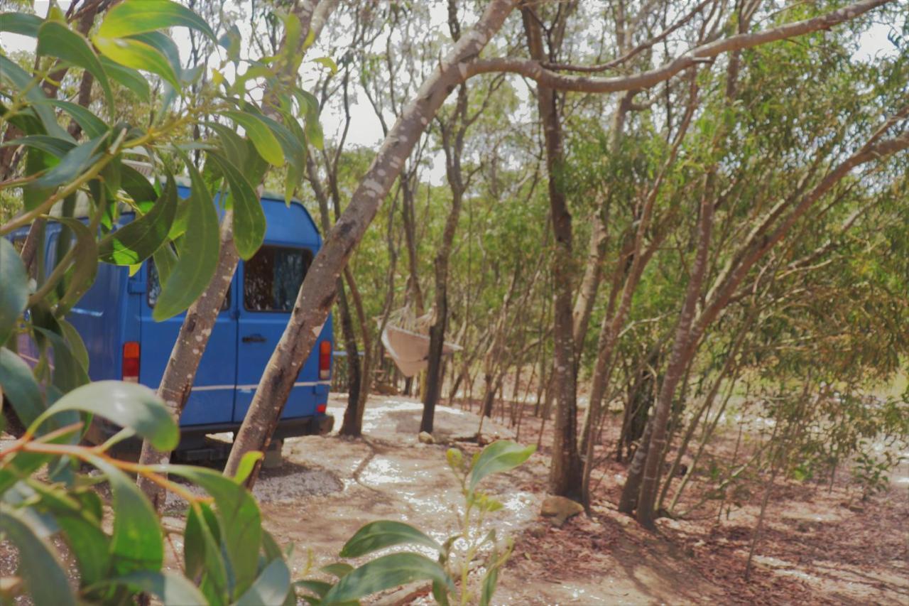Soul Farm Algarve - Glamping & Farm Aljezur