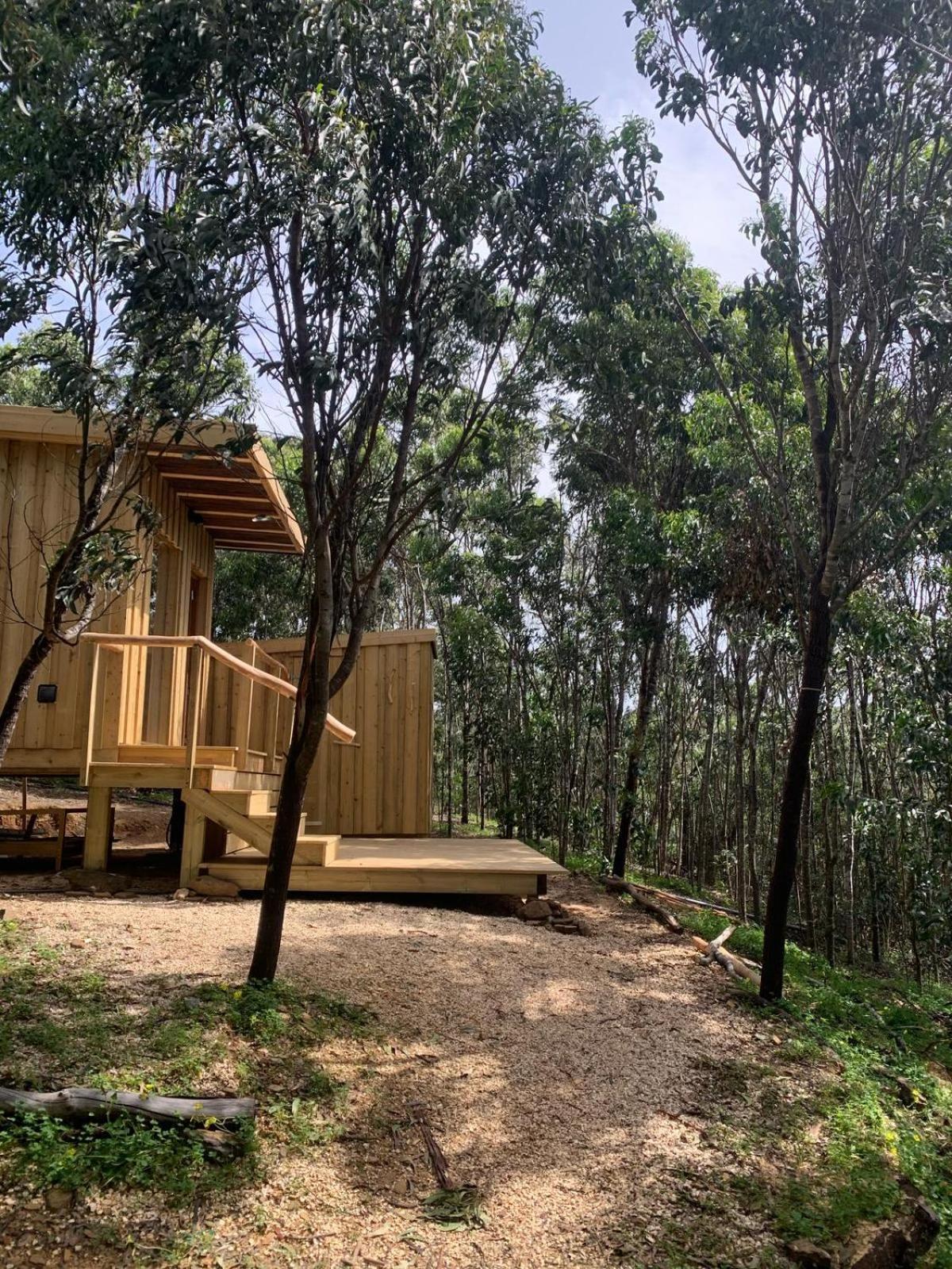 Soul Farm Algarve - Glamping & Farm *