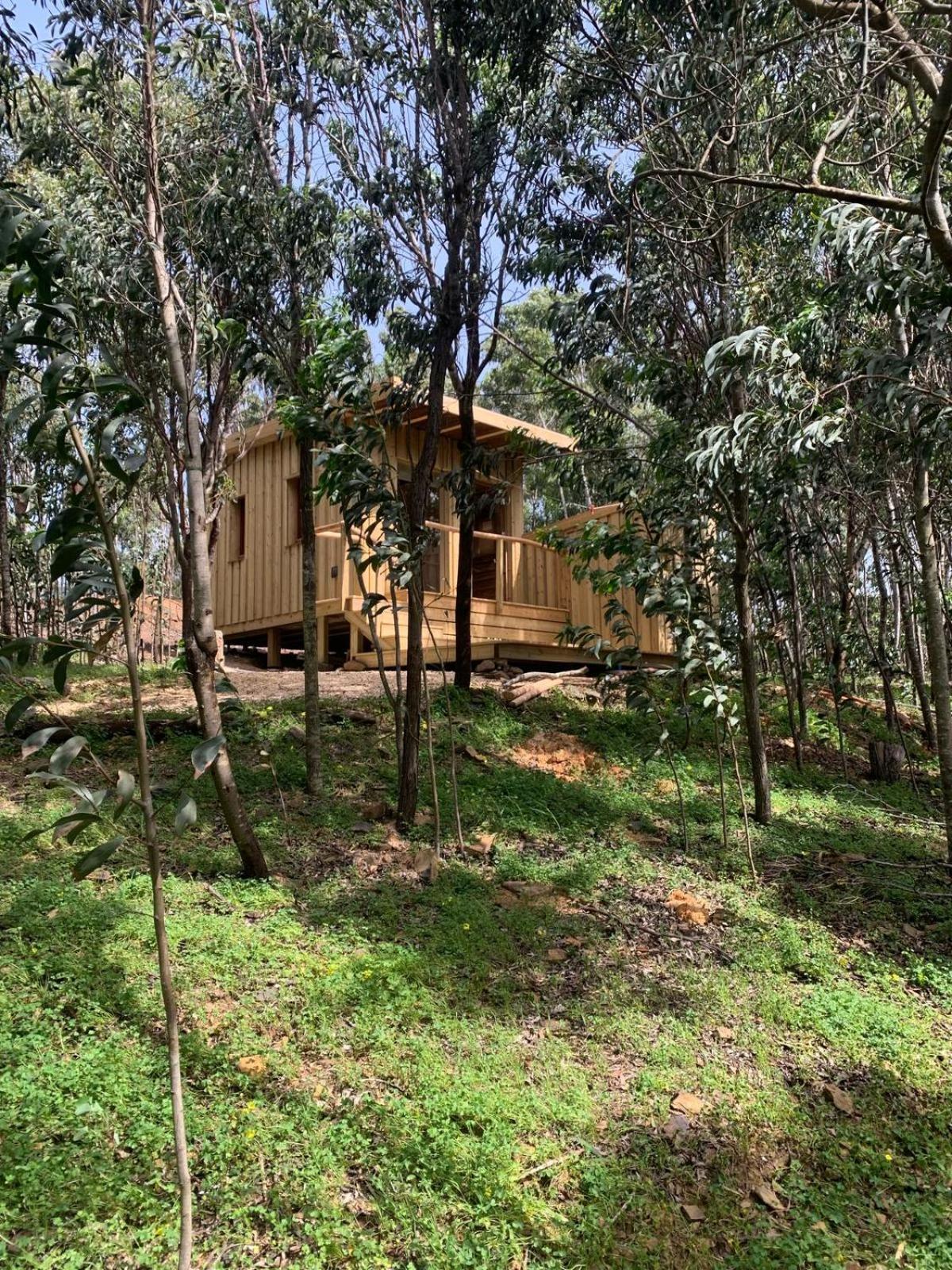Holiday home Soul Farm Algarve - Glamping & Farm *